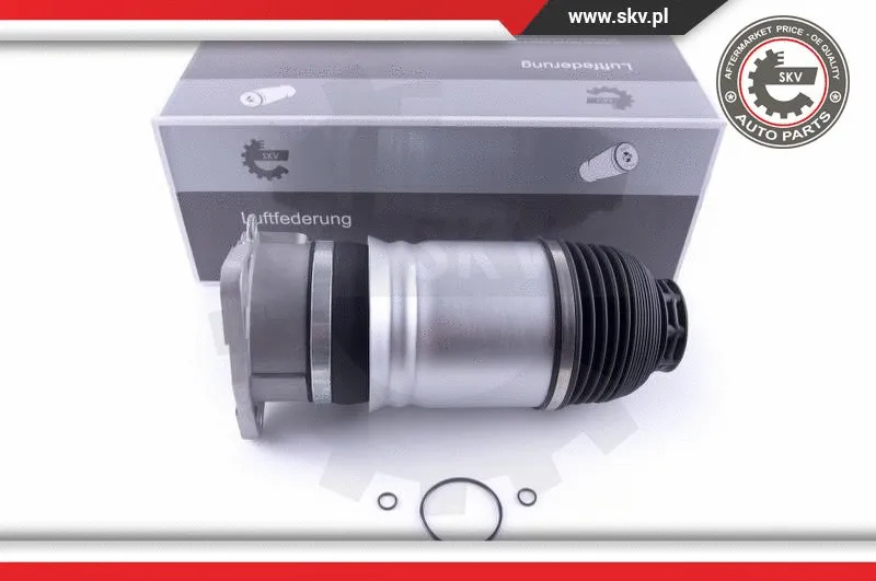 Air Spring, suspension (58SKV045)