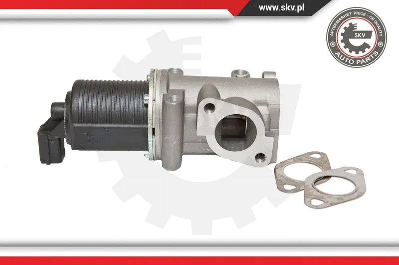 EGR Valve