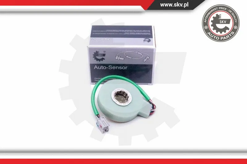 Steering Angle Sensor (17SKV476)
