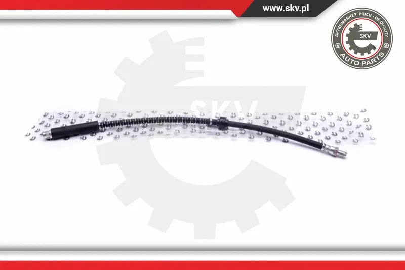 Brake Hose (35SKV250)