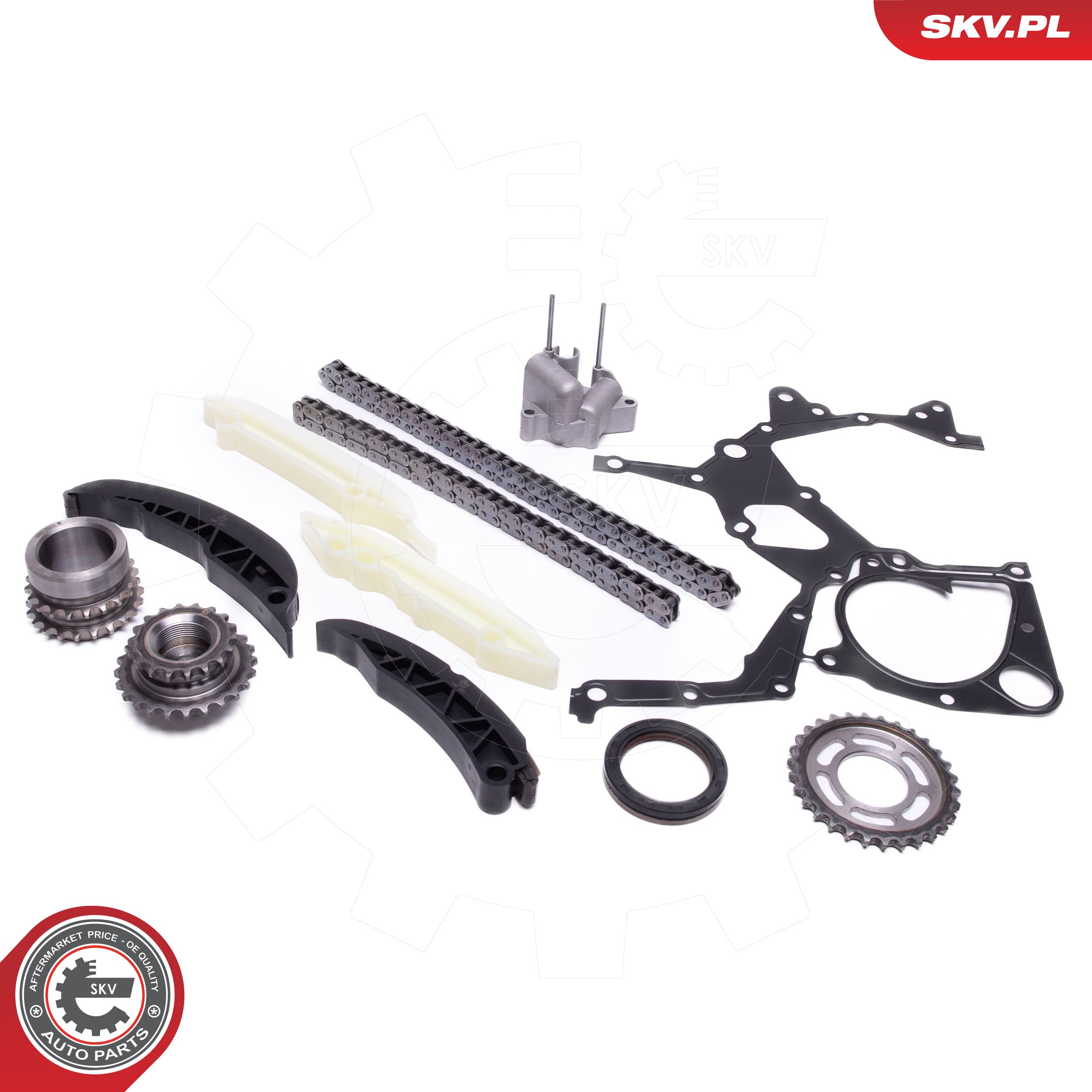 Timing Chain Kit