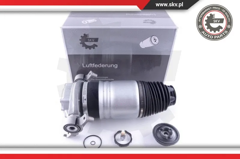 Air Spring, suspension (58SKV049)