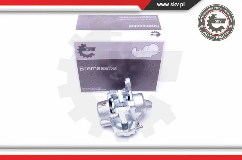 Brake Caliper (45SKV493)