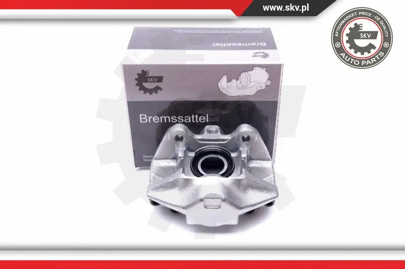 Brake Caliper (42SKV652)