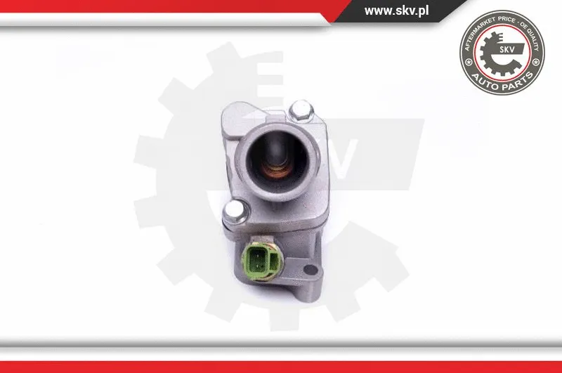 Thermostat, coolant