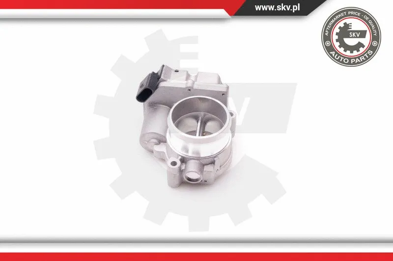 Throttle Body (12SKV057)