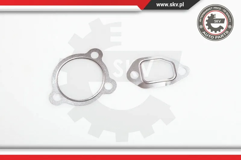 EGR Valve