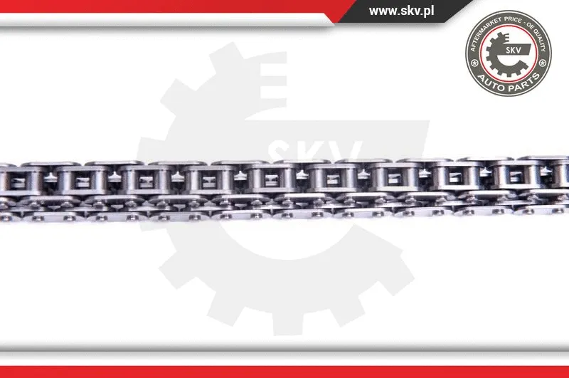 Timing Chain Kit