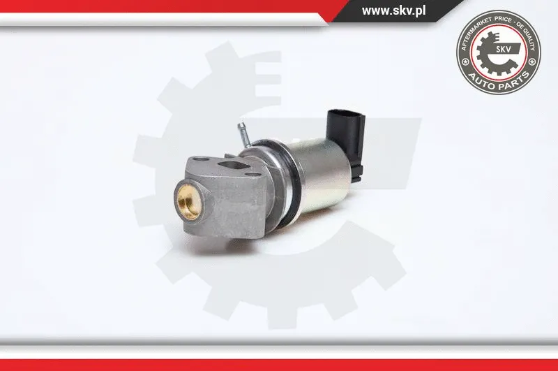 EGR Valve