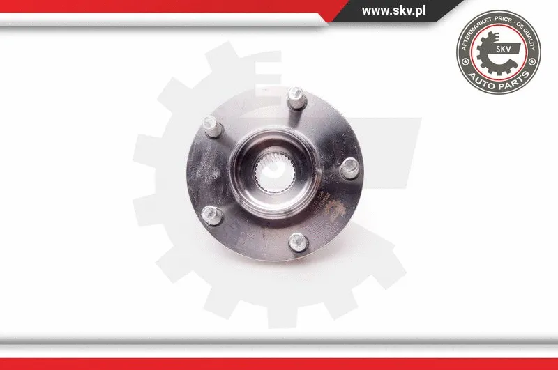 Wheel Bearing Kit