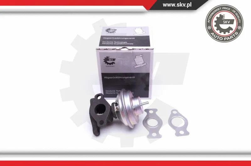 EGR Valve (14SKV204)