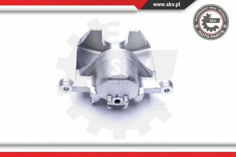 Brake Caliper (44SKV991)
