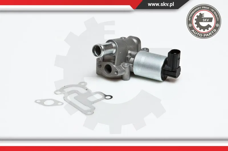 EGR Valve