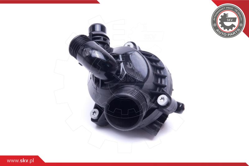 Thermostat, coolant