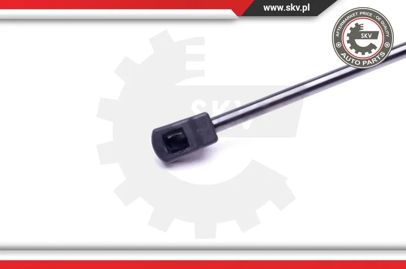 Gas Spring, boot/cargo area