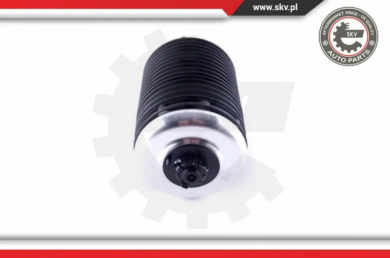Air Spring, suspension