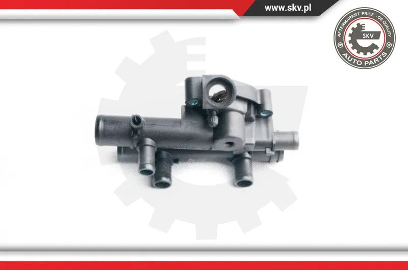 Thermostat, coolant