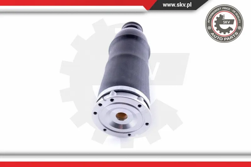 Air Spring, suspension