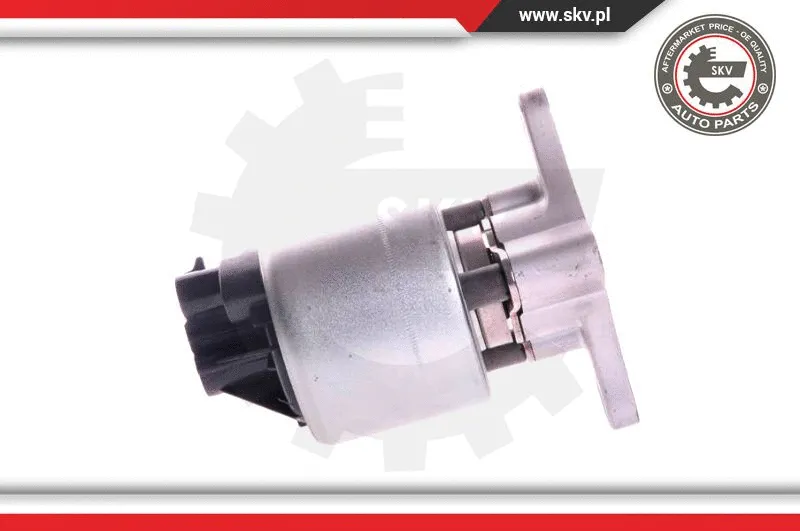 EGR Valve