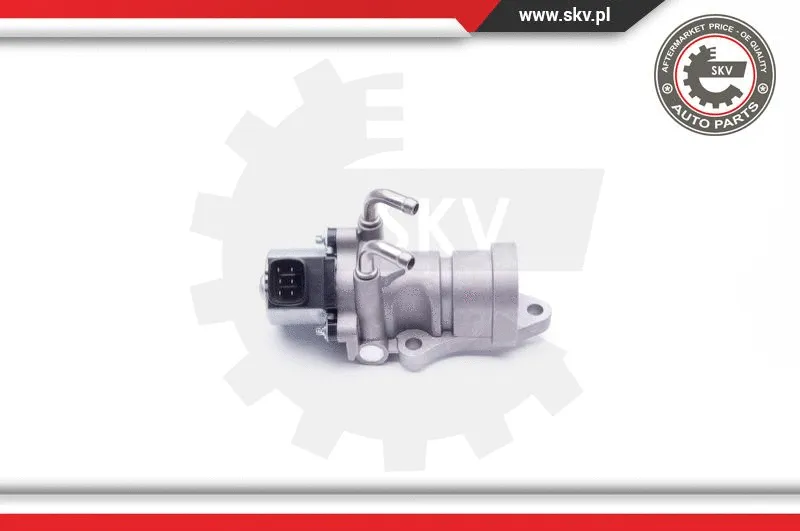 EGR Valve