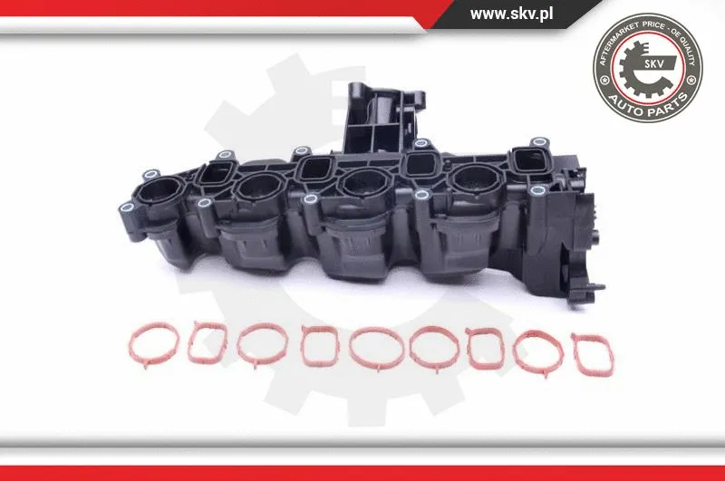 Intake Manifold Module