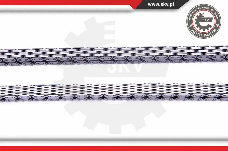Timing Chain Kit