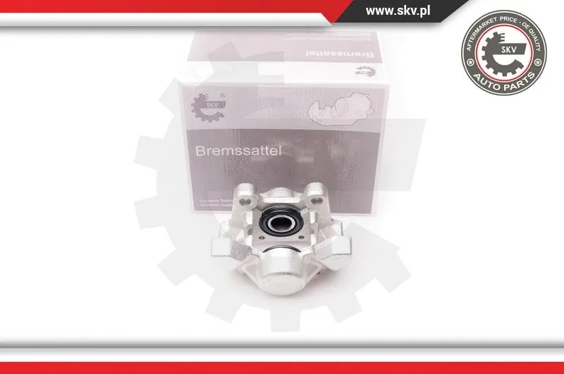 Brake Caliper (34SKV254)