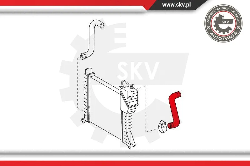Radiator Hose (24SKV343)