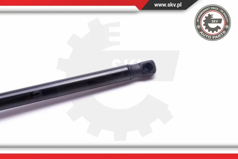 Gas Spring, boot/cargo area