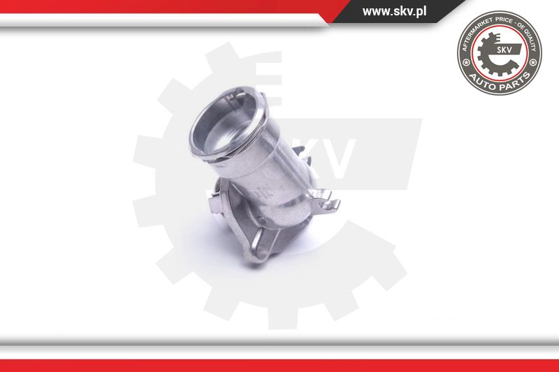 Thermostat, coolant
