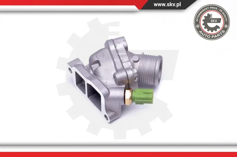 Thermostat, coolant