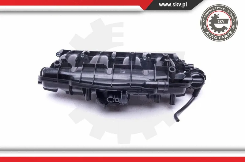 Intake Manifold Module