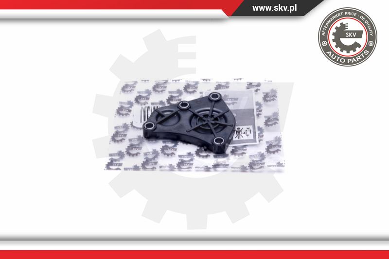 Locking Cover, camshaft (96SKV215)