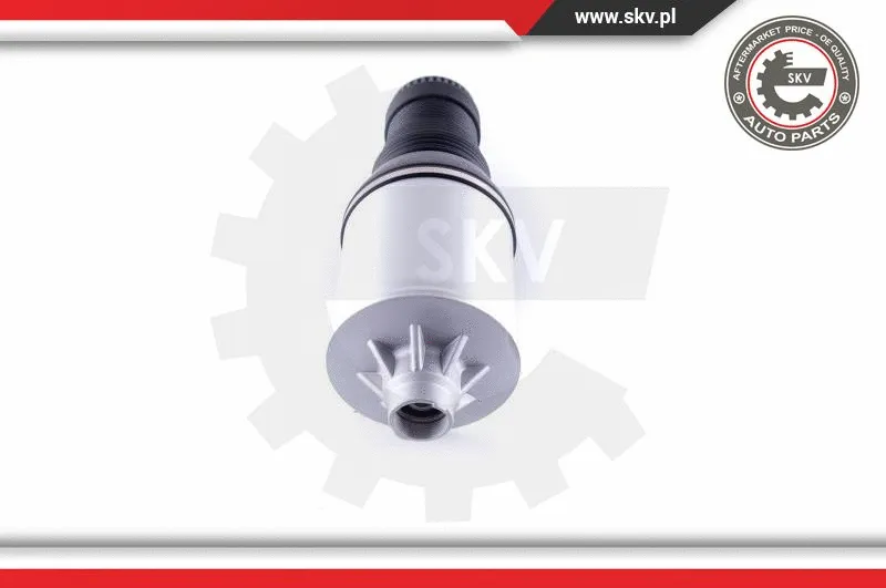 Air Spring, suspension