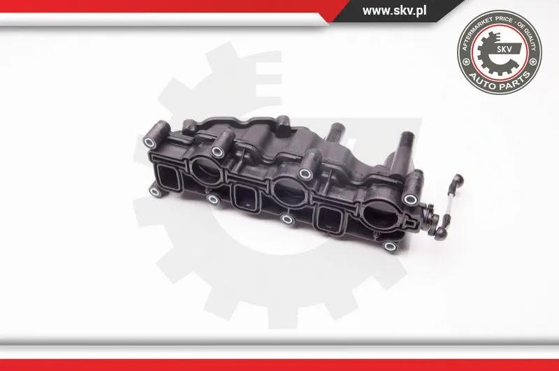 Intake Manifold Module