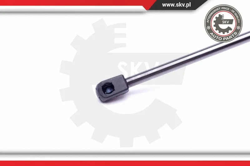 Gas Spring, boot/cargo area