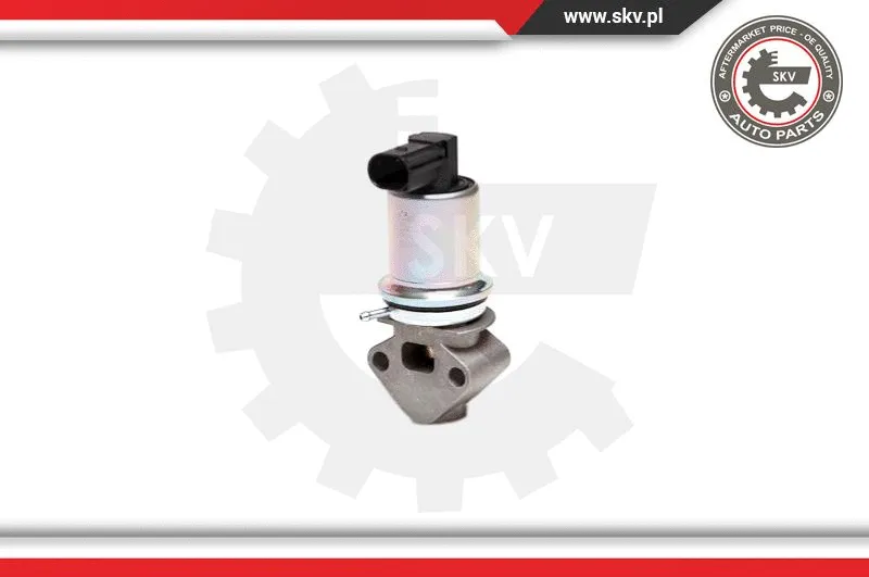 EGR Valve