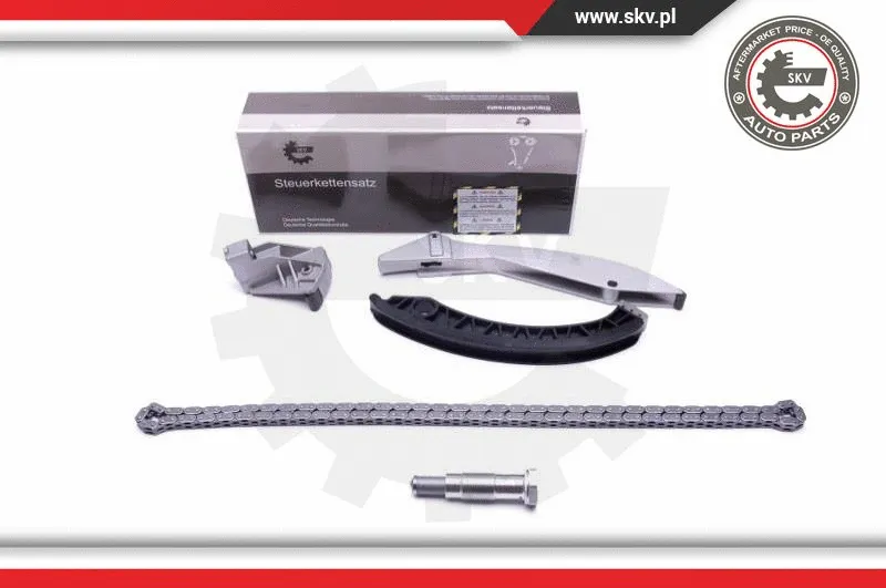 Timing Chain Kit (21SKV133)