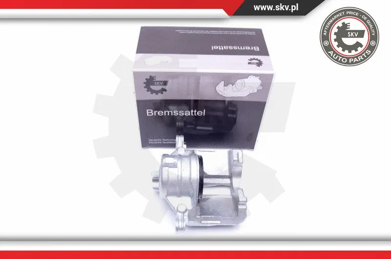 Brake Caliper (42SKV802)