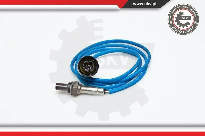 Lambda Sensor (09SKV049)