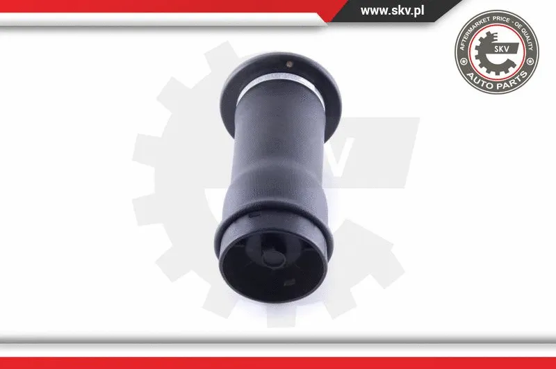 Air Spring, suspension