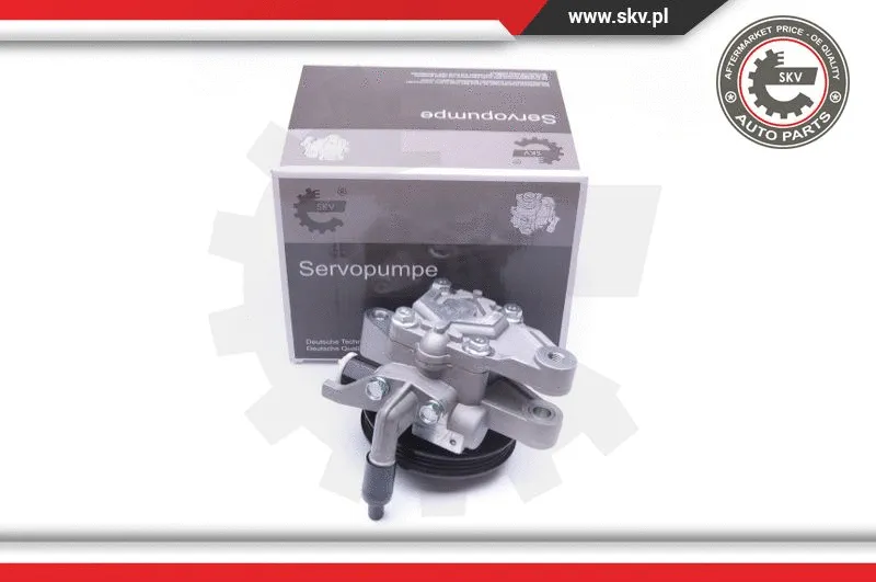 Hydraulic Pump, steering (10SKV262)