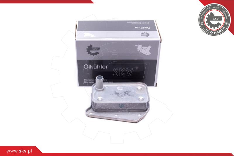 Oil Cooler, engine oil (31SKV216)