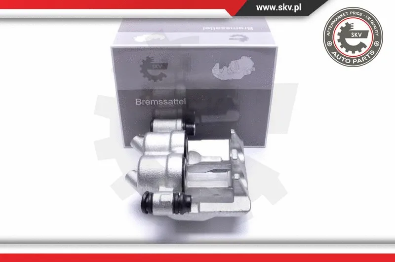 Brake Caliper (55SKV152)