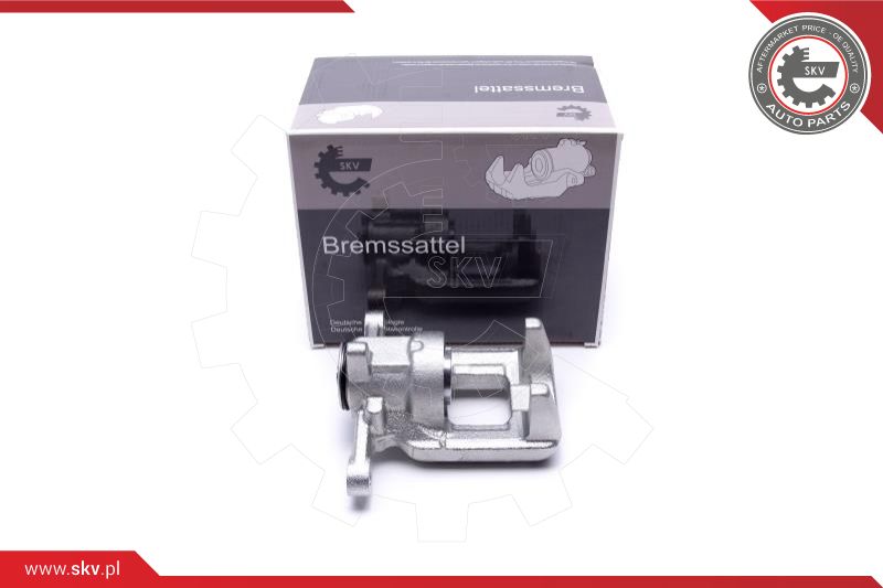 Brake Caliper (44SKV483)