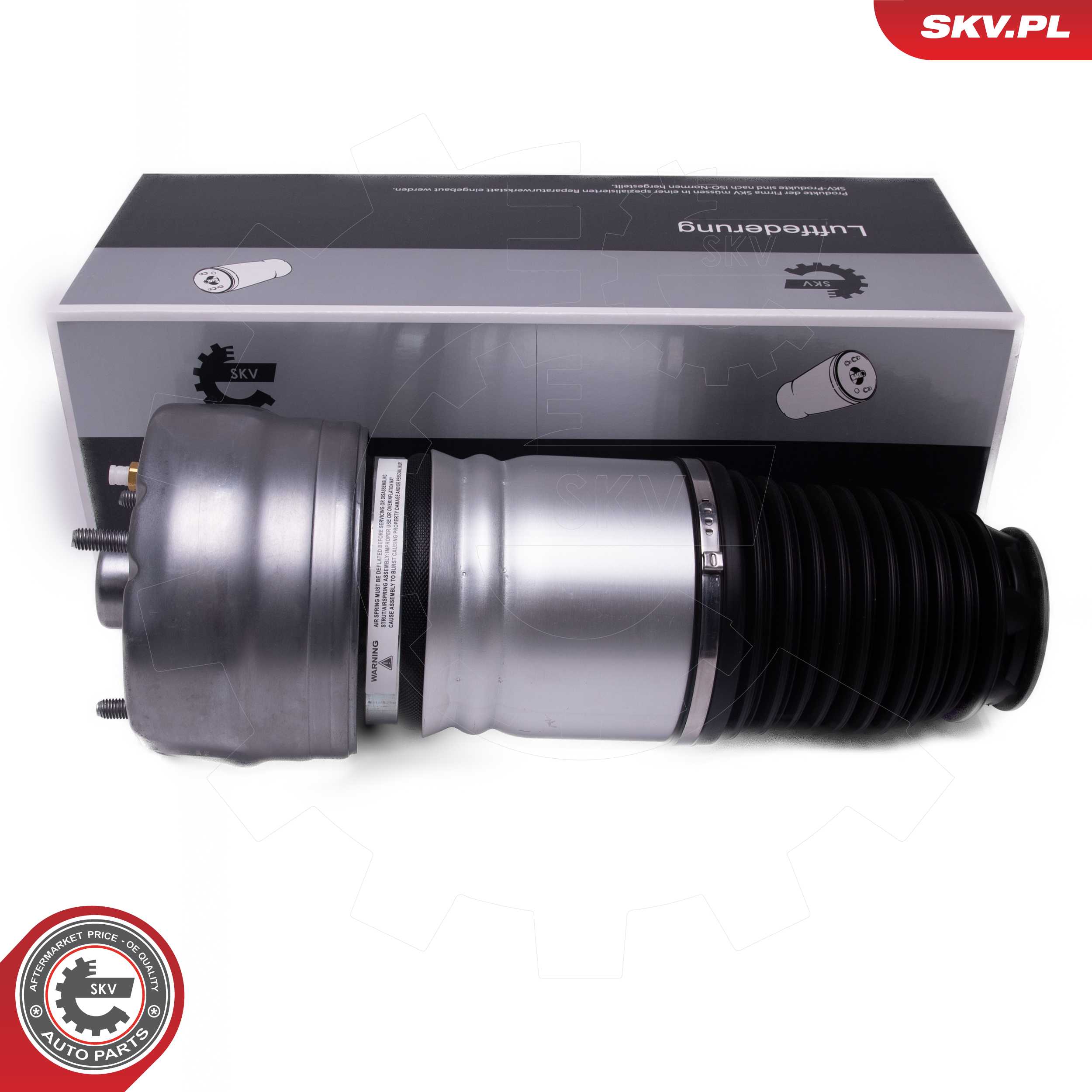 Air Suspension Strut (58SKV080)