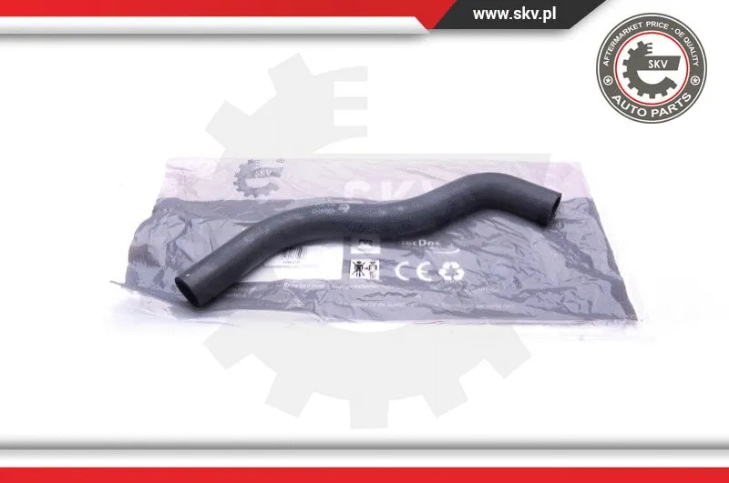 Radiator Hose (43SKV717)