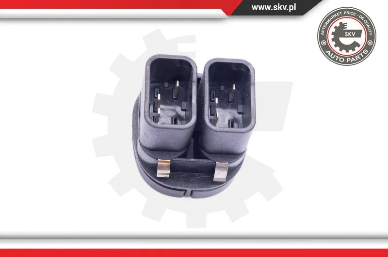 Switch, window regulator