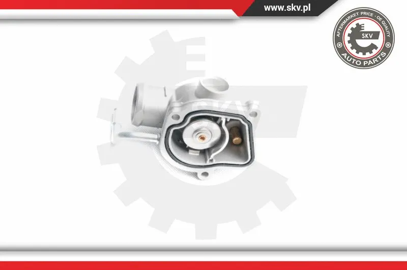 Thermostat, coolant