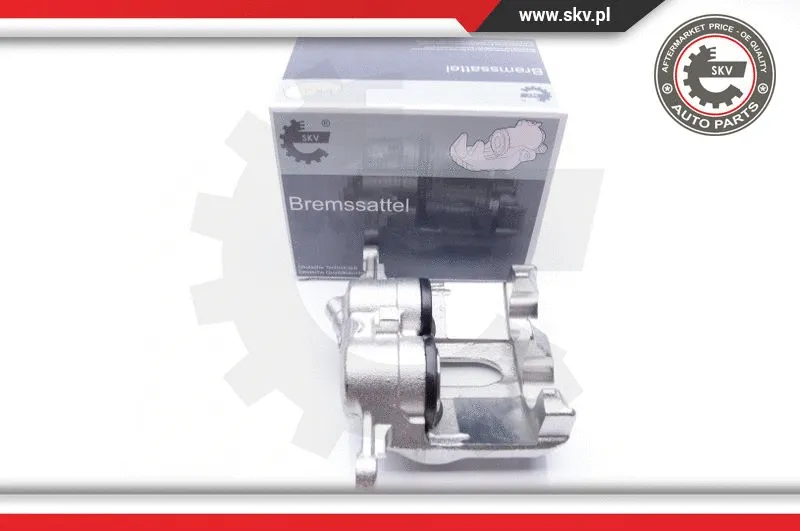 Brake Caliper (34SKV282)
